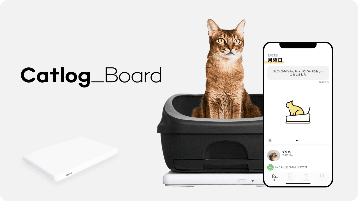 Catlog Board（キャトログボード）