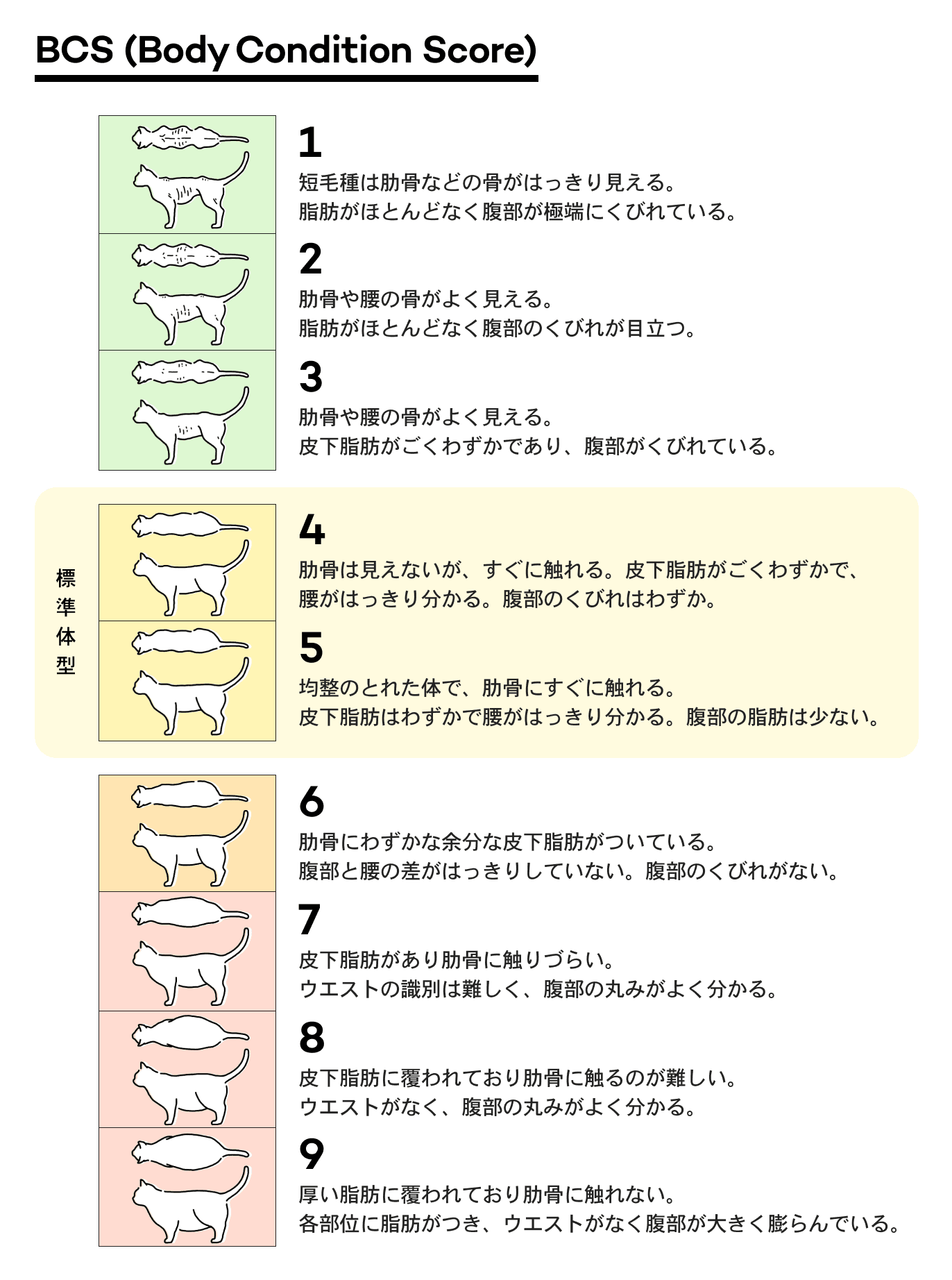 ボディコンディションスコア(BCS)