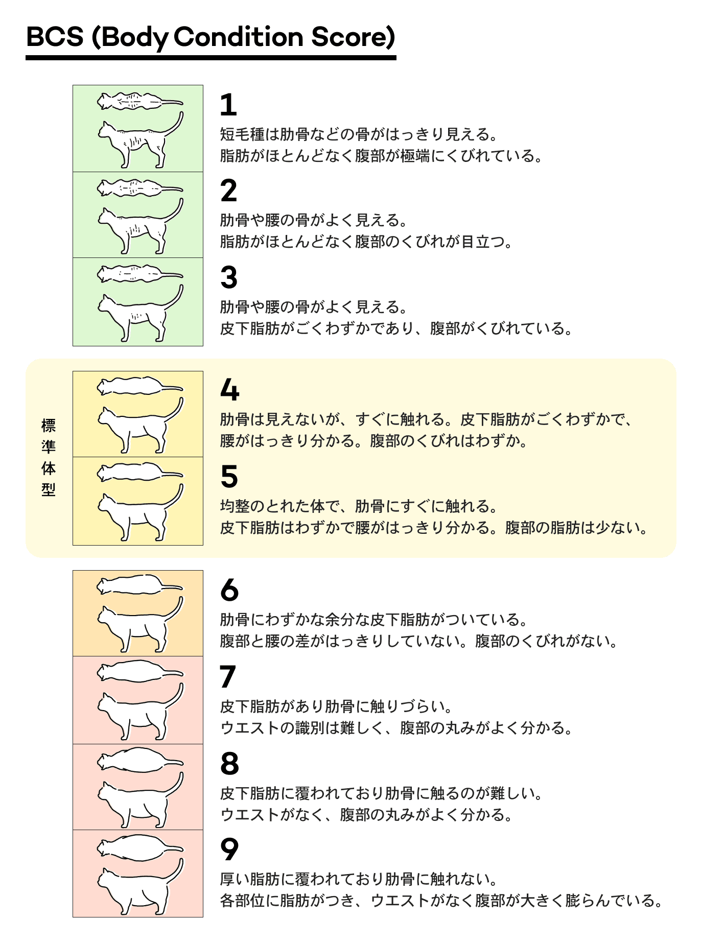 ボディコンディションスコア(BCS)