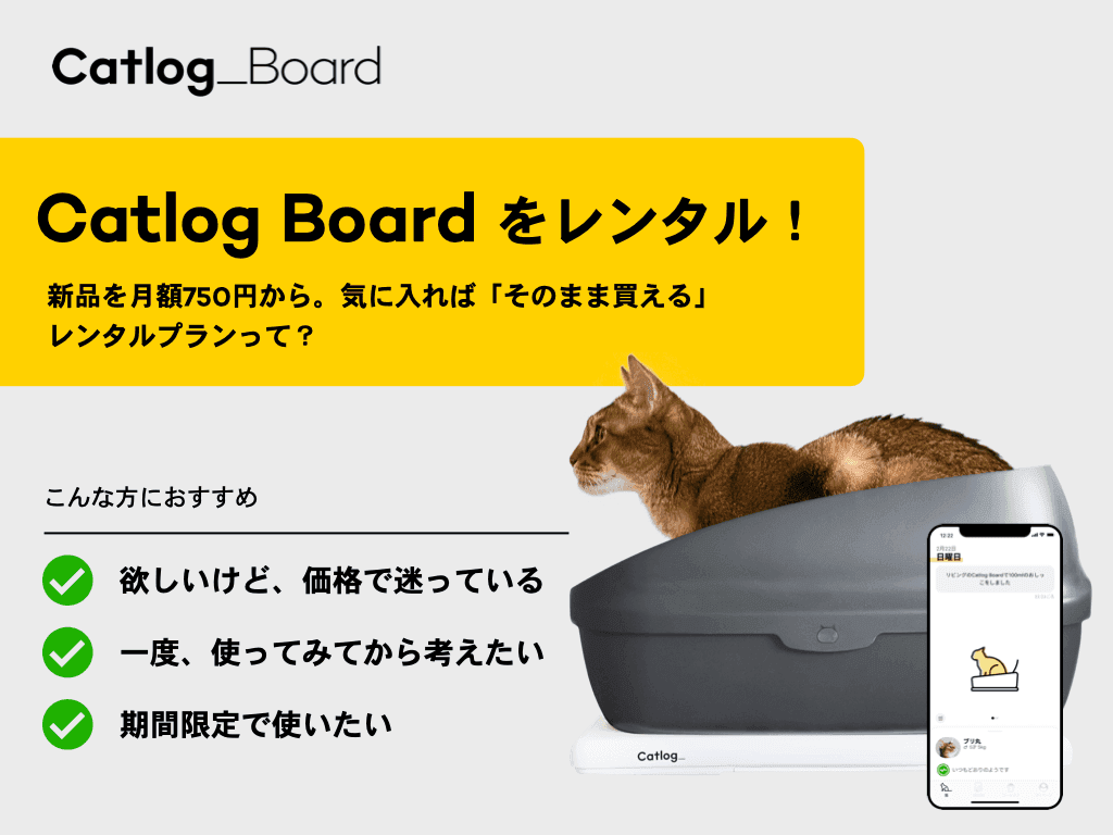 話題のCatlog Boardをレンタルでお試し! 月額750円から利用できて「そのまま購入」もOKなレンタルプランって?