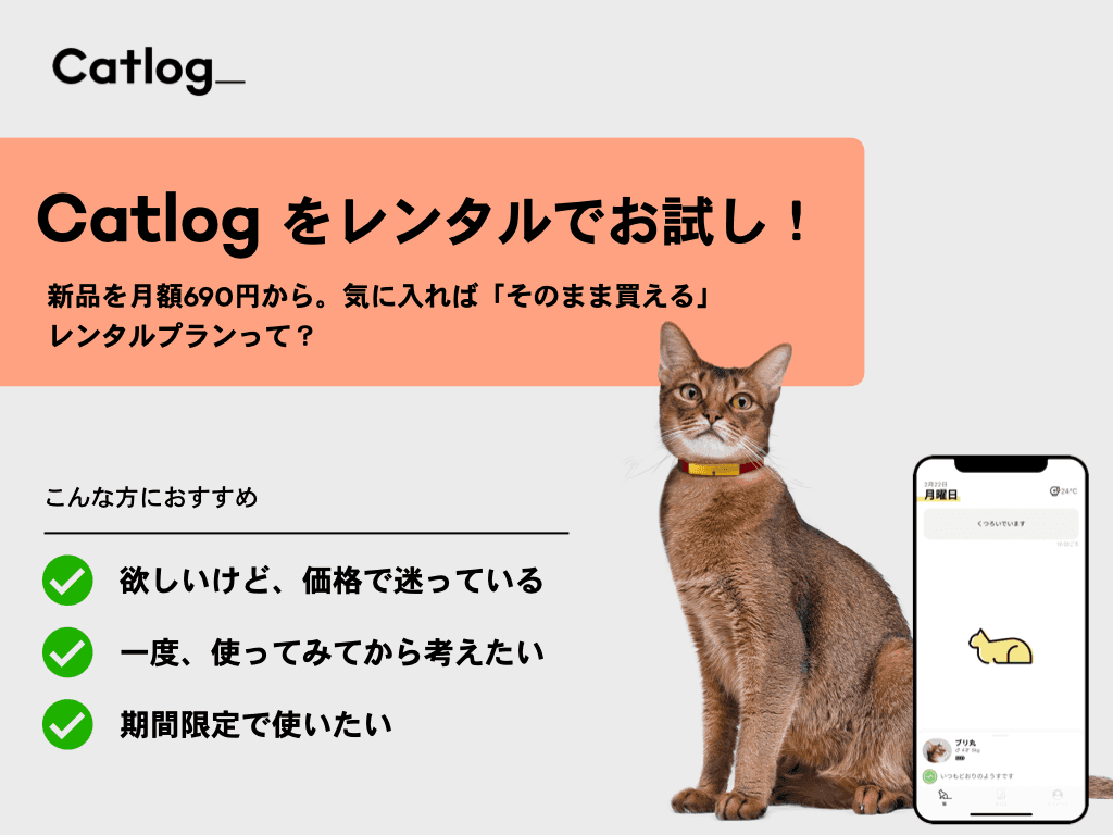 Catlogをレンタルでお試し! 月690円から利用できて「そのまま購入」もOKなレンタルプランって?