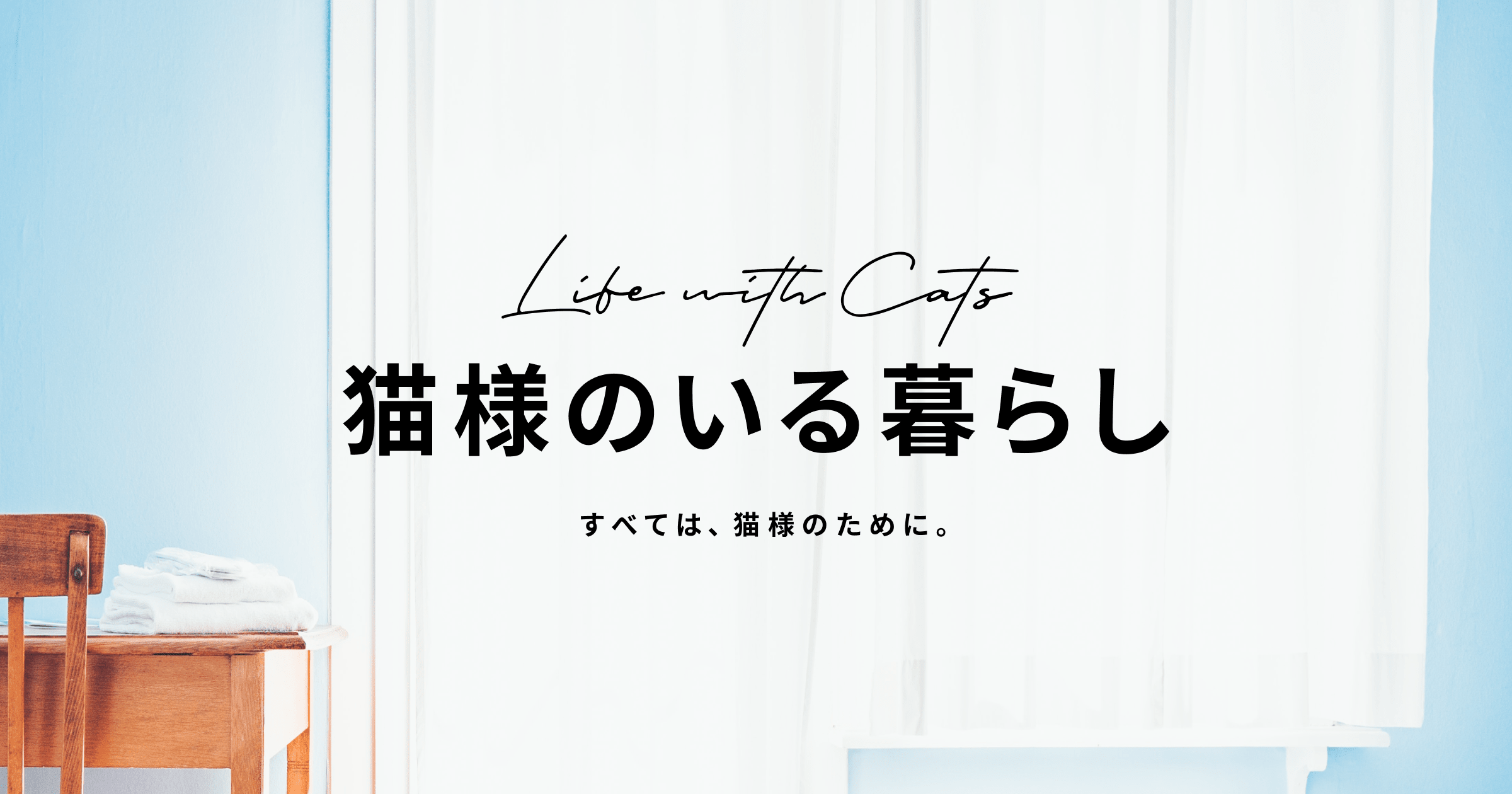 猫様とのくらし