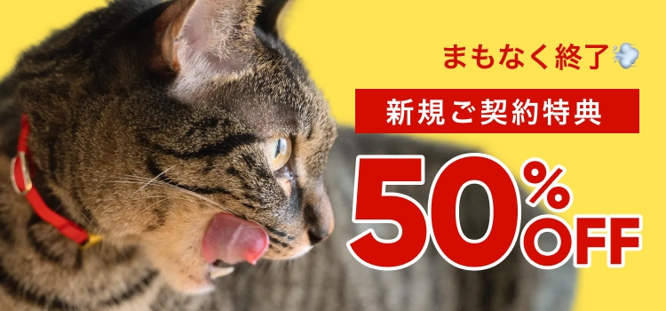 まもなく終了 新規ご契約特典 50%OFF