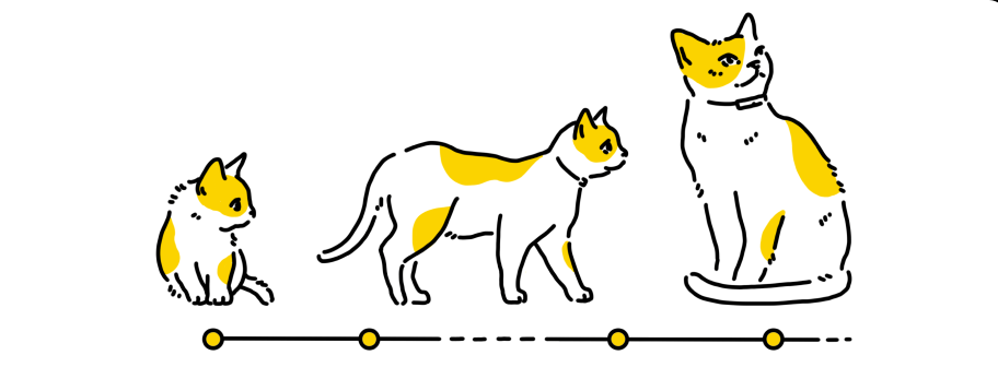子猫から大人になるまでの成長 のイラスト