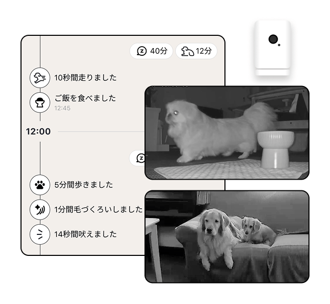 タイムライン表示